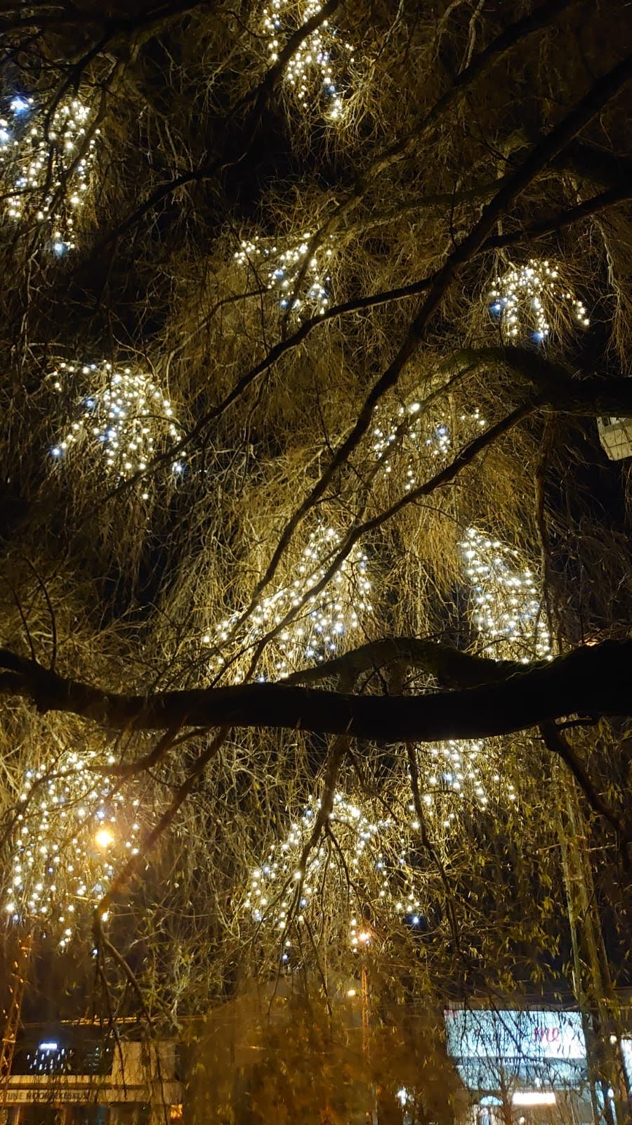 Valgusketi rippuvad lehvikud